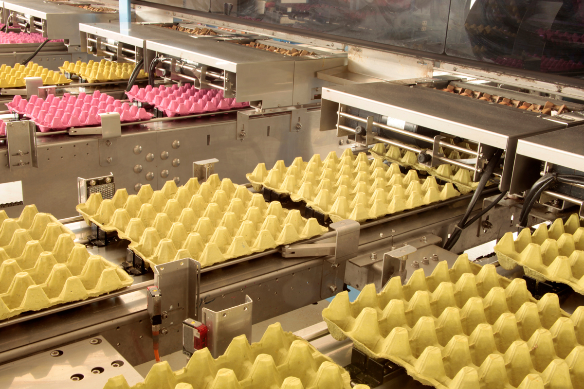 projects-fi-hartmann-rolla-plant